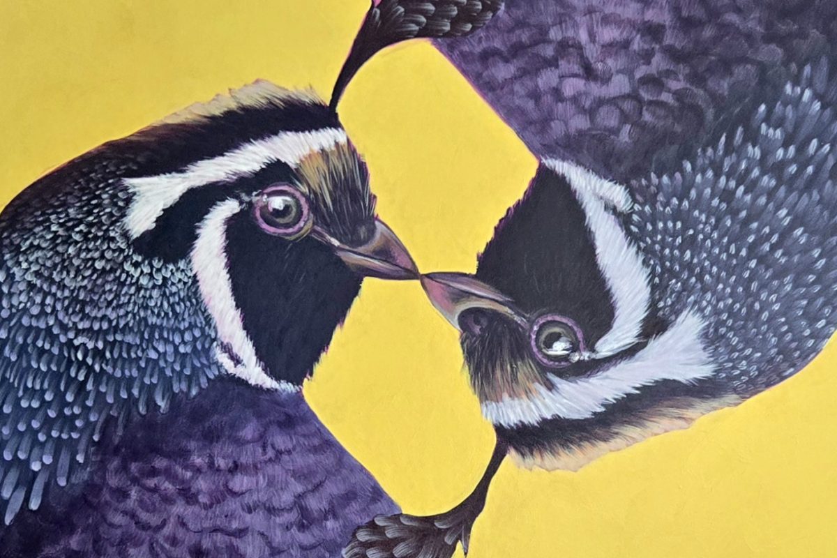 Anto Otoya Revelstoke Solo Exhbition