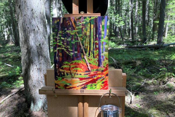 Art in the Park (Beaver Valley) – Thomas 3 (1) Art in the Park (Beaver Valley) - Thomas 3 (1)