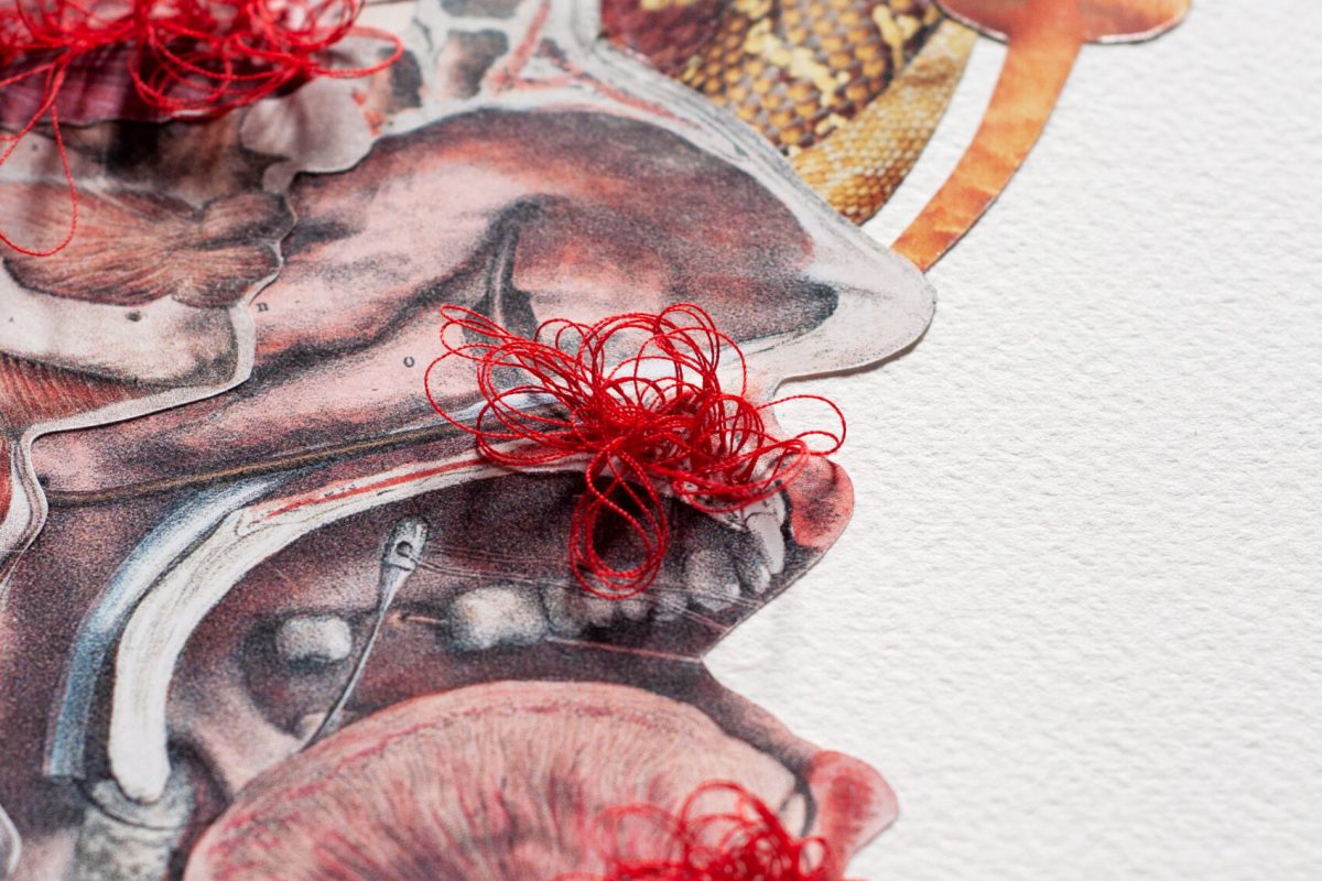 JannaYotte_16x20_OnADeeplyConfusingPath_CollageEmbroidery_06 Art Exhibition by Janna Yotte